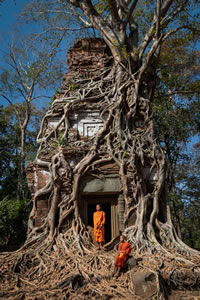 Ankgor Wat, Cambodia Article