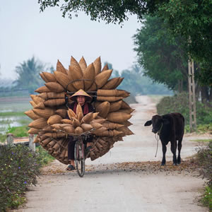 Vietnam - Fish Baskets