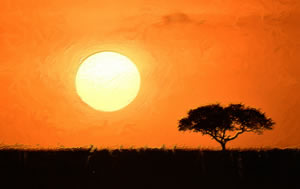 Lone Trees of Africa - Photographic Art